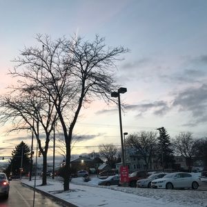 Meet your Posher, Ava